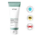 ANUA Renew Heartleaf Succinic Moisture Cleansing Foam 150ml